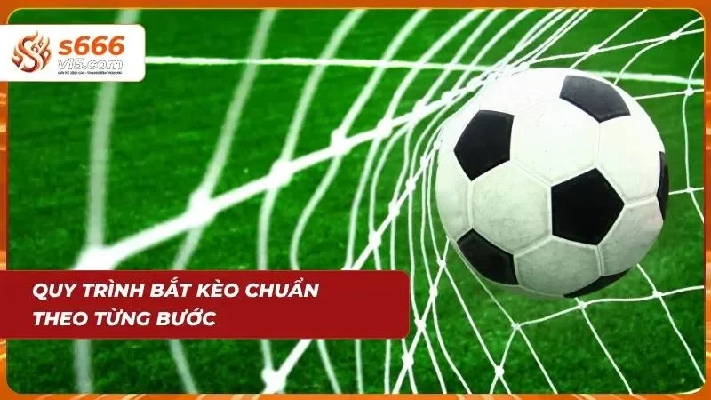 Các công đoạn đánh giá khoa học giúp cược thủ có quyết định chuẩn xác