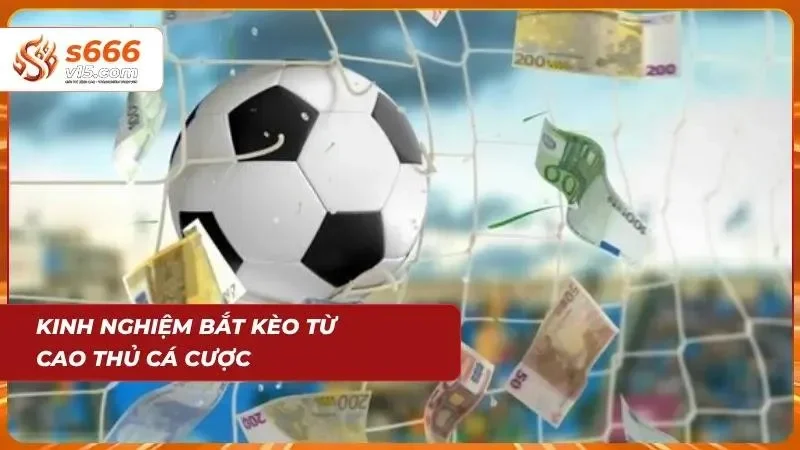 Bí quyết thực chiến quý báu giúp các cược thủ nâng cao tỷ lệ thắng