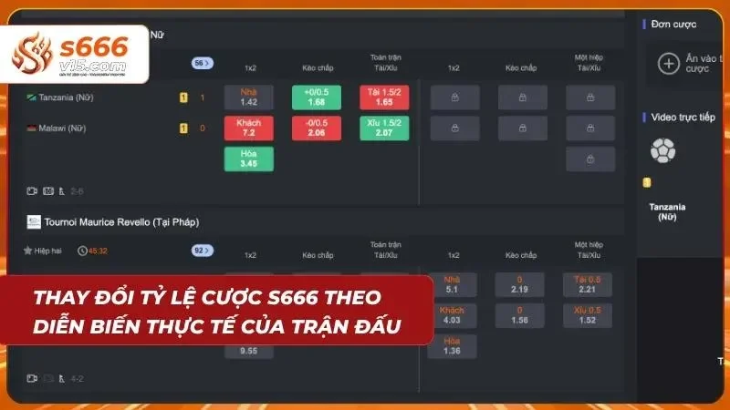Miễn Trừ Trách Nhiệm S666 – Quy Định Quan Trọng Mới 2026 7 Biểu đồ tỷ lệ cược biến động theo diễn biến trận đấu
