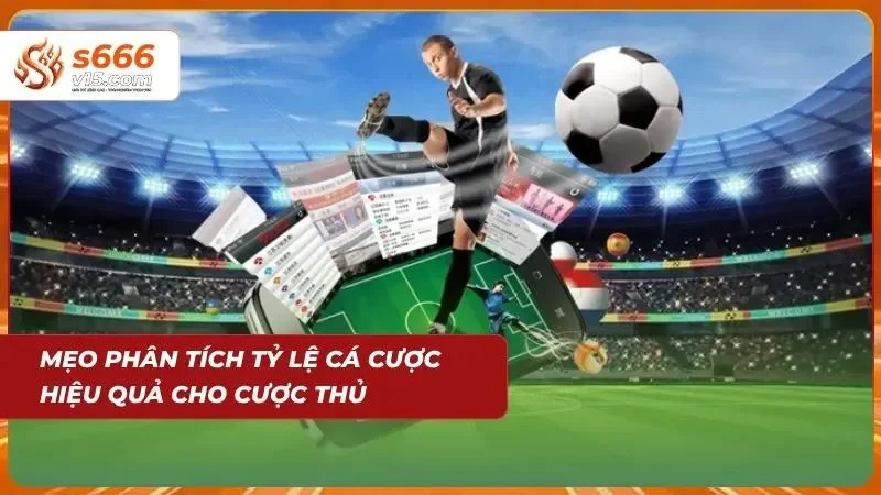 Bí quyết áp dụng các chiến thuật khoa học giúp người chơi thể thao tối ưu hóa lợi nhuận